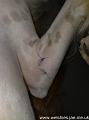 2010-08-07 01